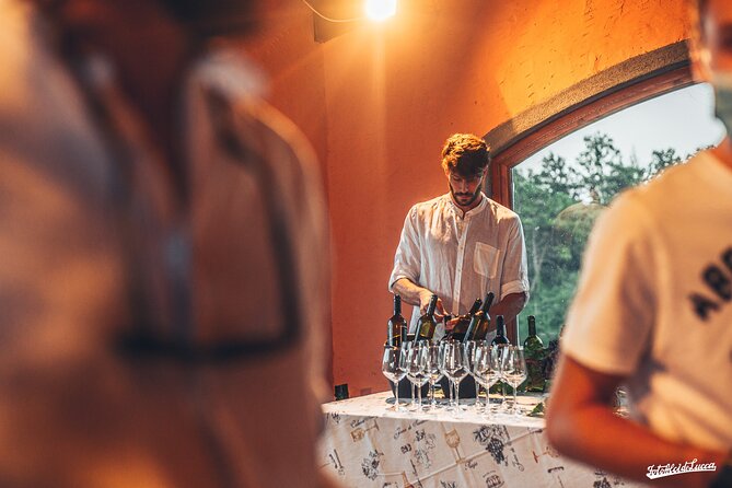Lucca: Wine Tasting Experience - Tenuta Adamo Winery - The Atmosphere Can Be Social or Crowded