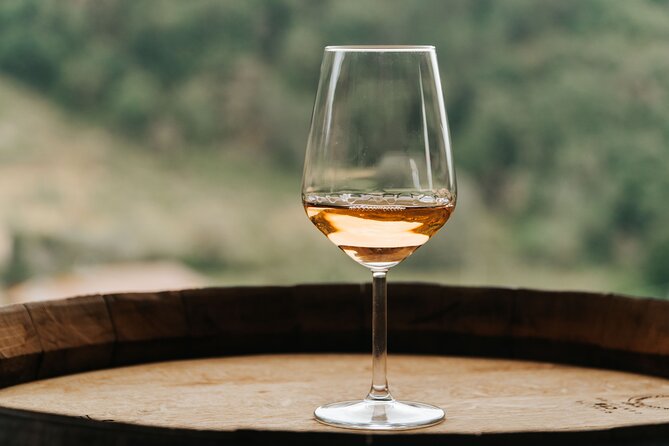 Lucca: Wine Tasting Experience - Tenuta Adamo Winery - Who Will Enjoy This Winery Most?
