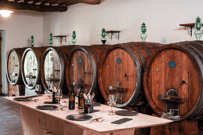 Lucca: Wine Tasting Experience - Tenuta Adamo Winery - The Terrace Tasting Is the Main Event