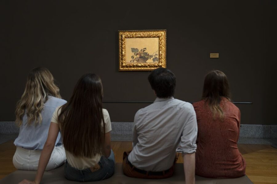 Milan: Pinacoteca Ambrosiana & da Vinci Codex Exhibition - Should you buy the audio guide?