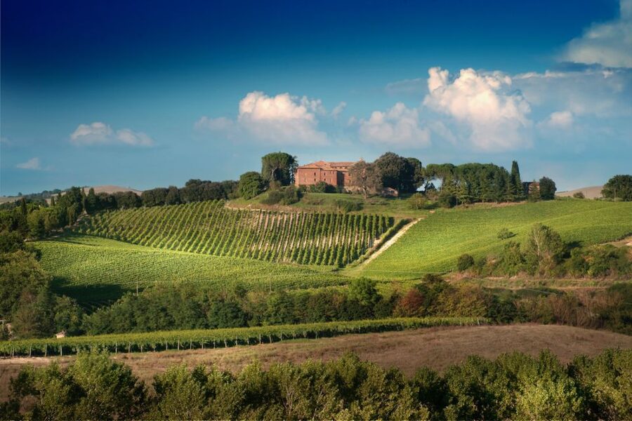 Montalcino: Brunello Wine Tasting & Lunch in a Tuscan Castle - Key points at a glance