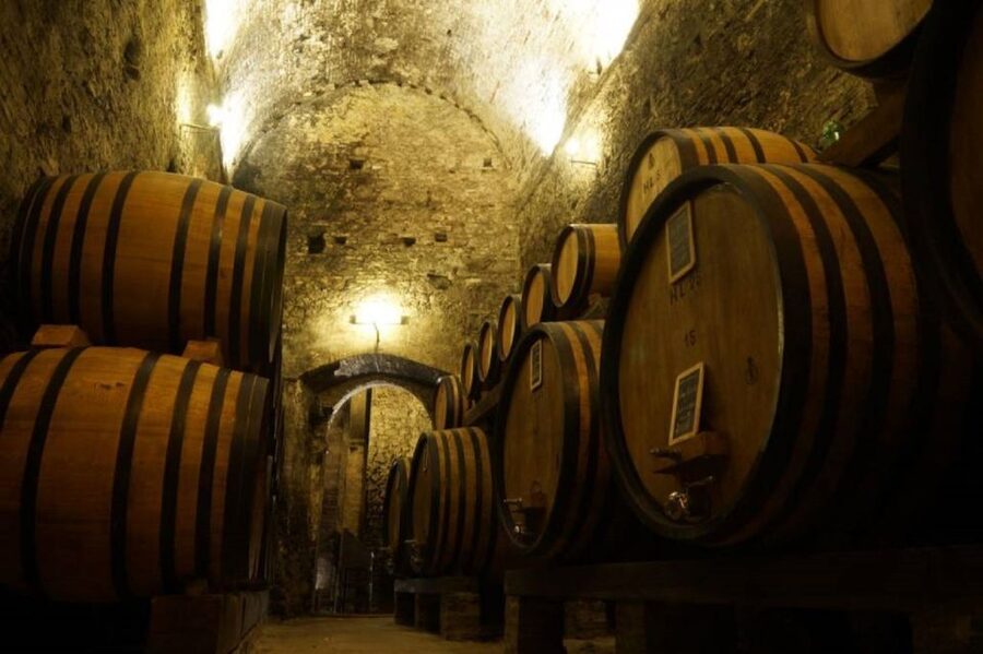 Montepulciano: Wine Tasting and Cellar Tour - Oak barrels, French wood, and the aging process
