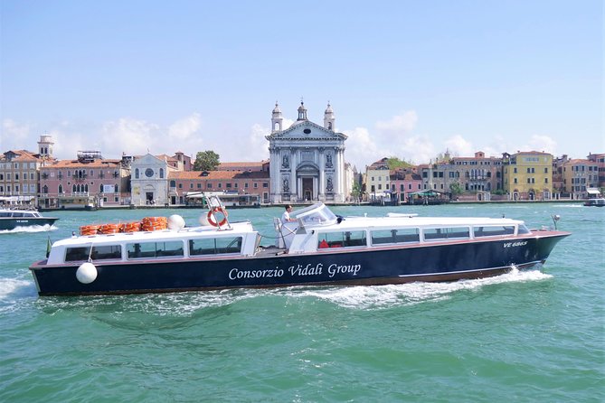 Morning Venice Lagoon Cruise: Murano and Burano Islands - Who will enjoy this half-day outing?