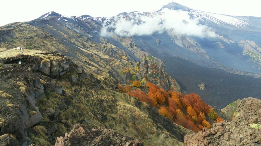 Mount Etna: Half-Day Guided Tour and Hike - Zafferana Etnea, honey, and a taste of Sicily