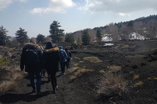 Mount Etna Half-Day Small Group Tour from Taormina - Who should book this Etna experience?
