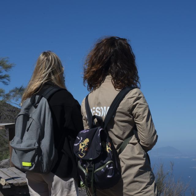 Mount Vesuvius: Skip-the-Line Ticket and Smart Digital Guide - Key points to know before you book