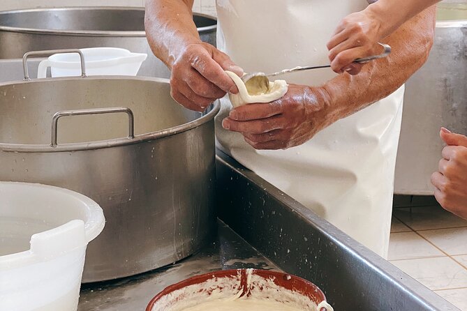 Mozzarella Experience - Cheese Tour and tastings to Masseria Fragnite - Getting to Masseria Fragnite Without a Bad Morning