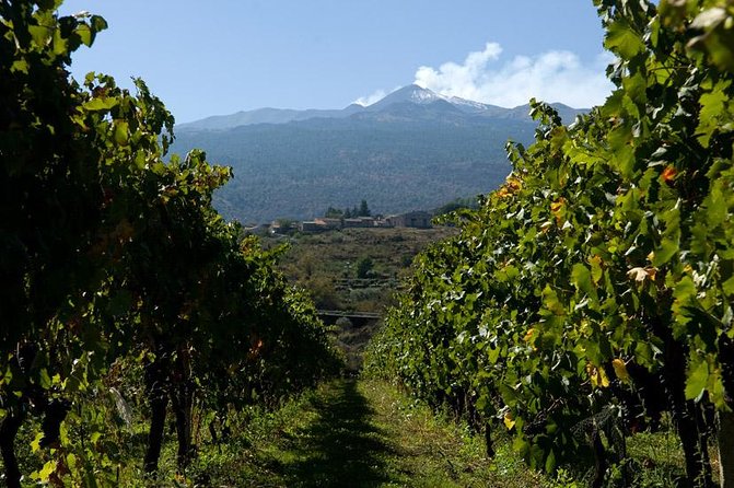 Mt Etna and Wine tasting tour from Catania - Choosing between included walking and paid extras
