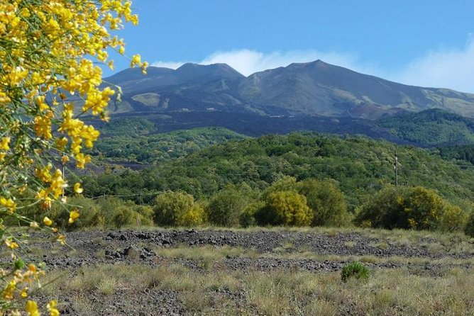 Mt. Etna nature and flavors half day Tour from Catania - The 2,900-meter option: impressive, but budget carefully