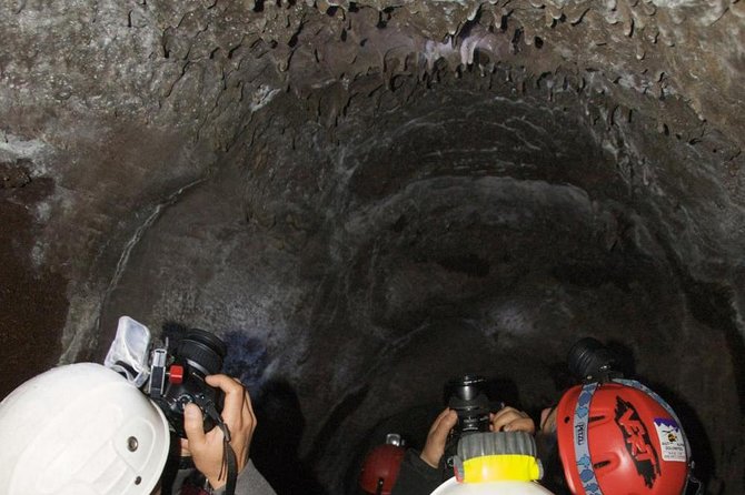 Mt. Etna nature and flavors half day Tour from Catania - Enoteca Dell’Etna and the taste of the mountain