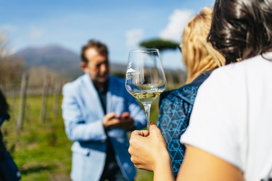 Naples: Pompeii and Mt. Vesuvius with Lunch and Wine Tasting - Pompeii: two hours inside the buried city