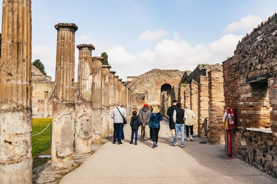 Naples: Pompeii and Mt. Vesuvius with Lunch and Wine Tasting - Who should book this day trip?