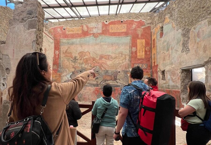 Naples: Pompeii & Mt. Vesuvius Day Trip with Tickets & Lunch - Pompeii in two hours: what you actually see
