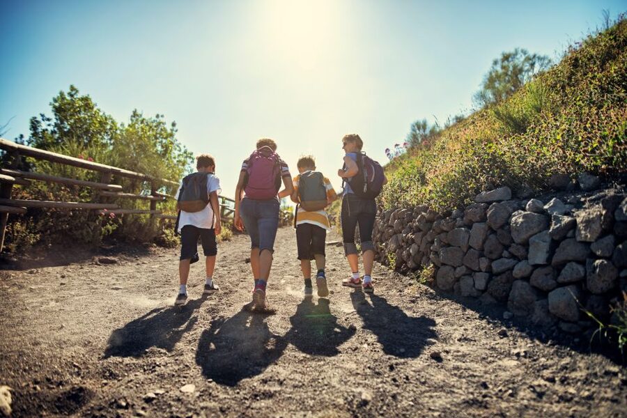 Naples: Pompeii & Mt. Vesuvius Day Trip with Tickets & Lunch - Mount Vesuvius and the classic crater walk