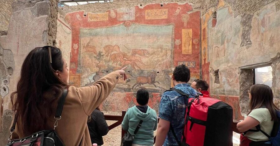 Naples: Pompeii & Mt. Vesuvius Day Trip with Tickets & Lunch - Starting from Naples: pickup points and transport