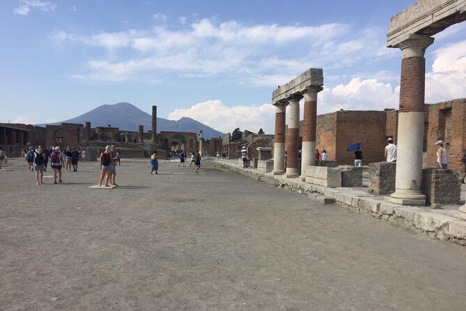 Naples Shore Excursion Mt Vesuvius and Pompeii Day Trip - Walking through Pompeii in two hours