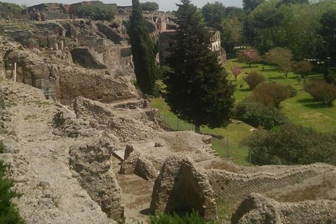 Naples Shore Excursion: Pompeii Half Day Trip from Naples - The Forum, where Pompeii made its public life visible