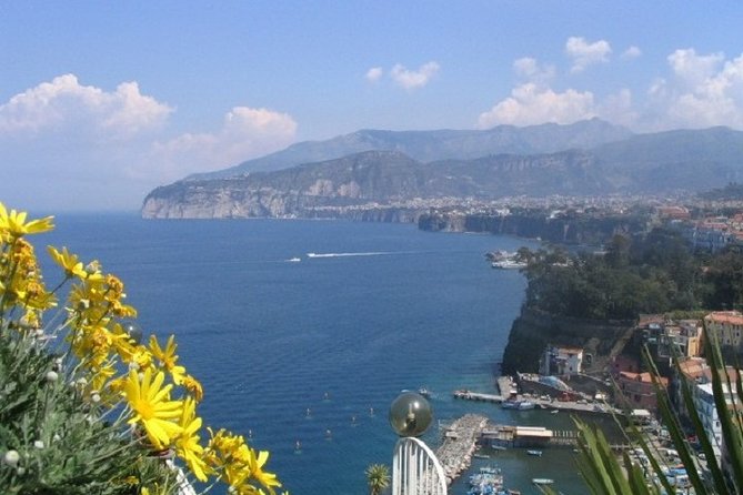 Naples Shore Excursion: Private Tour to Sorrento, Positano, and Amalfi - Meeting your driver at the Naples cruise port