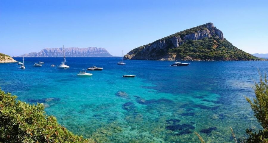 Olbia: Dolphin Watching and Snorkeling Boat Tour - Five Things Worth Knowing Before You Book