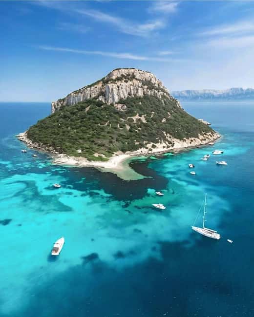 Olbia: Dolphin Watching & Snorkeling Boat Tour near Figarolo - What the guides add to the experience