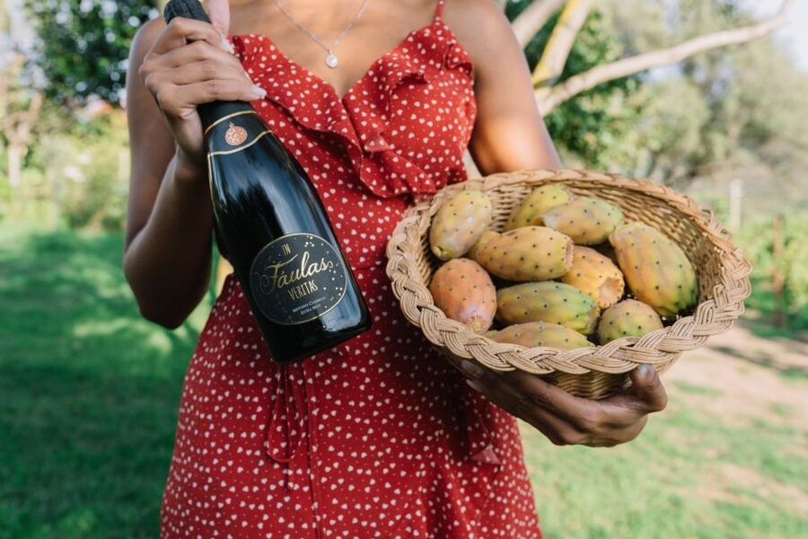 Olbia: Gallura Winery Guided Tour with Tasting - Gallura Winery Tour at a Glance