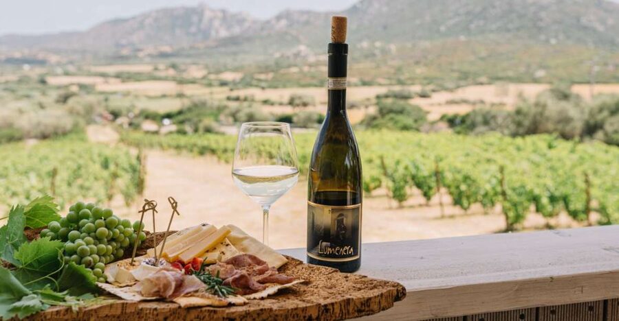 Olbia: Gallura Winery Guided Tour with Tasting - Inside the Winery and Barrel Cellar