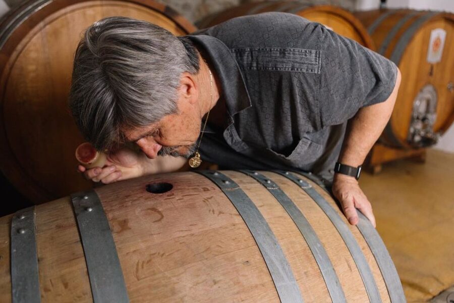Olbia: Gallura Winery Guided Tour with Tasting - The Rescue Animals Add a Surprising Second Act