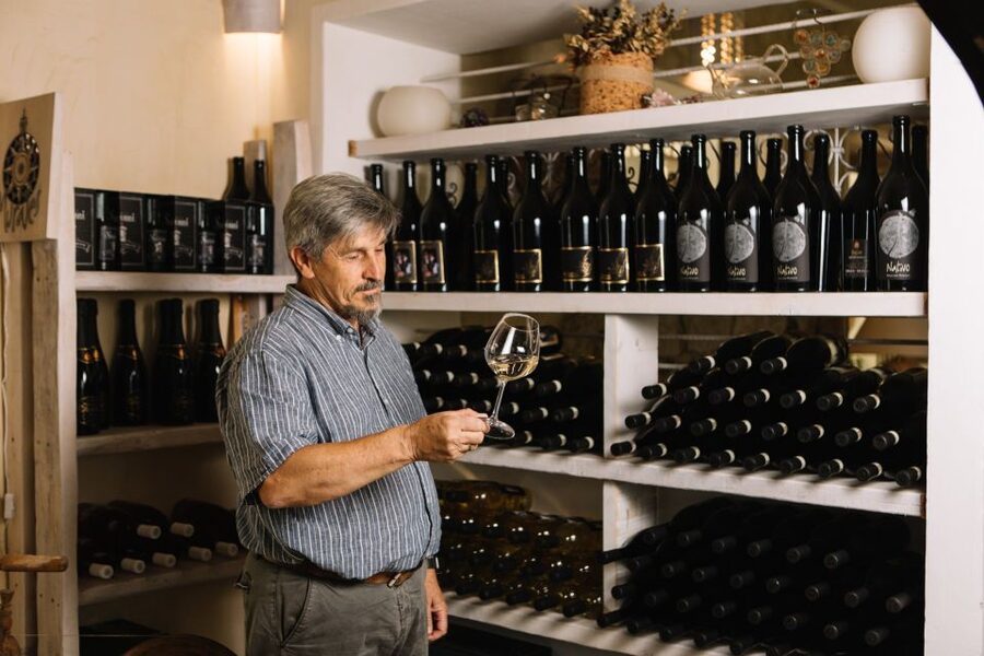 Olbia: Gallura Winery Guided Tour with Tasting - The Best Time and the Right Kind of Visitor