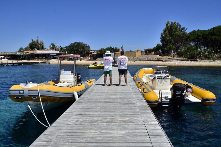 Olbia: Tavolara and Molara Snorkeling Boat Tour - Molara’s natural pools and schools of fish