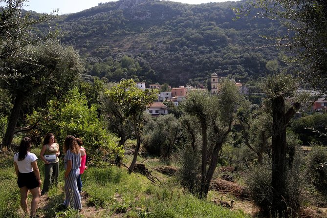 Olive oil tasting in Sorrento - The terrace, wine, and optional lunch