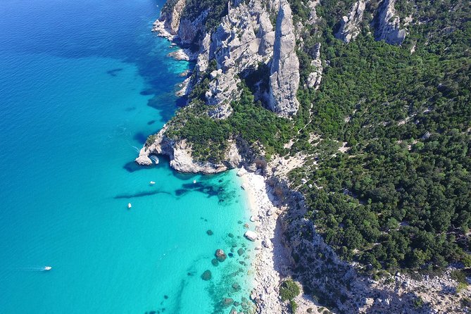 One day guided boat tour along the Baunei coast. - Key points to know before booking