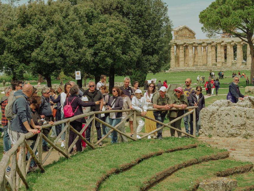 Paestum: Small-Group Tour with an Archaeologist and Tickets - Is $47 good value?