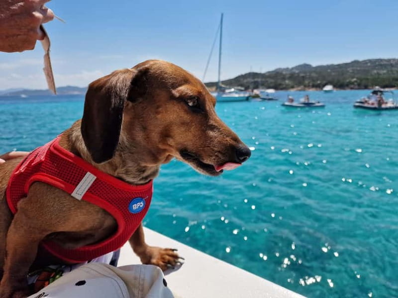 Palau: La Maddalena Archipelago Comfort Boat Tour with Stops - Santa Maria: a longer beach break