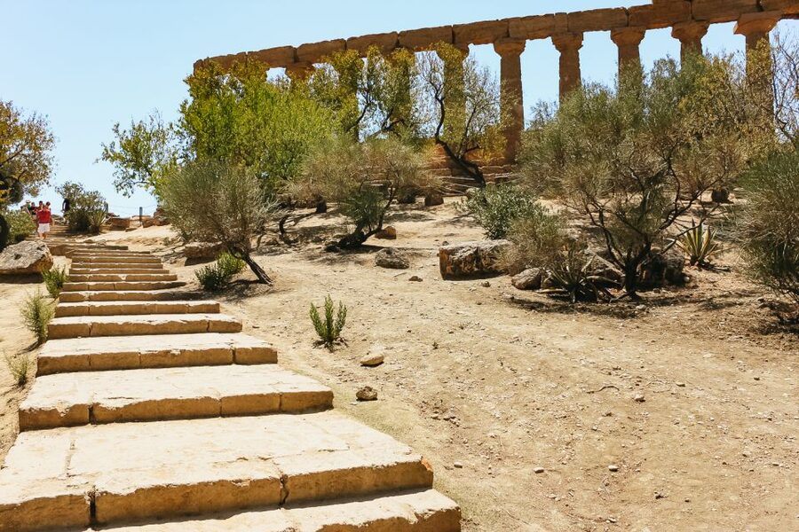 Palermo: Agrigento and the Valley of the Temples Day Tour - Who should book this day trip