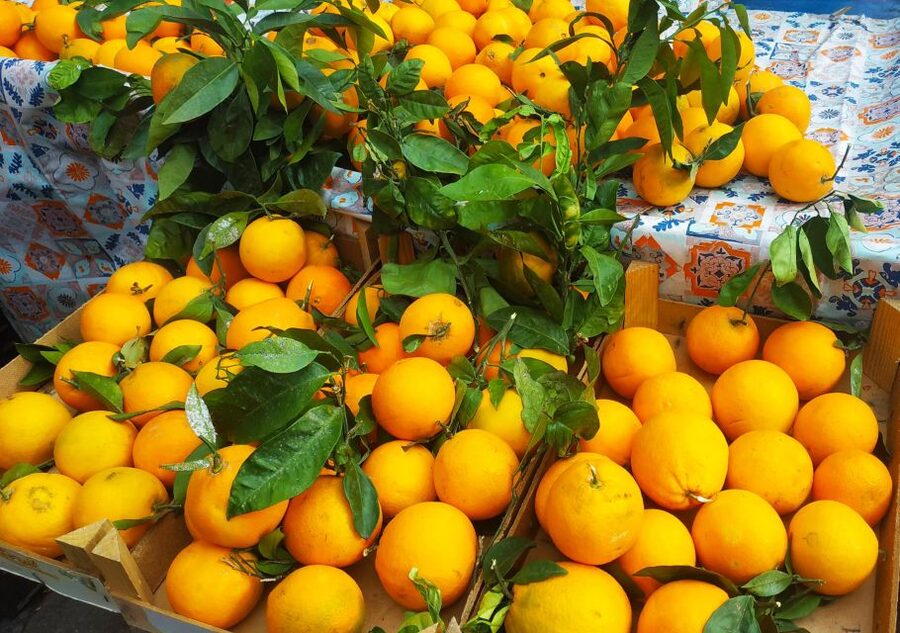 Palermo: Street Food Walking Tour with Local Guide & Tasting - Teatro Massimo, the Cathedral, and Quattro Canti