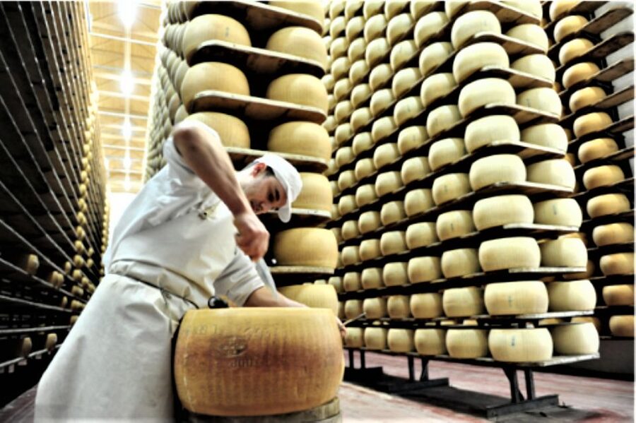 Parma: Parmigiano Production and Parma Ham Tour & Tasting - The drive into Parma Province