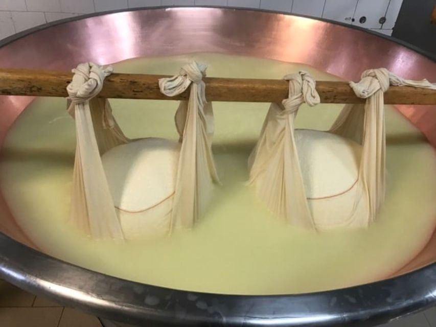 Parma: Parmigiano Production and Parma Ham Tour & Tasting - Who will enjoy this Parma food tour
