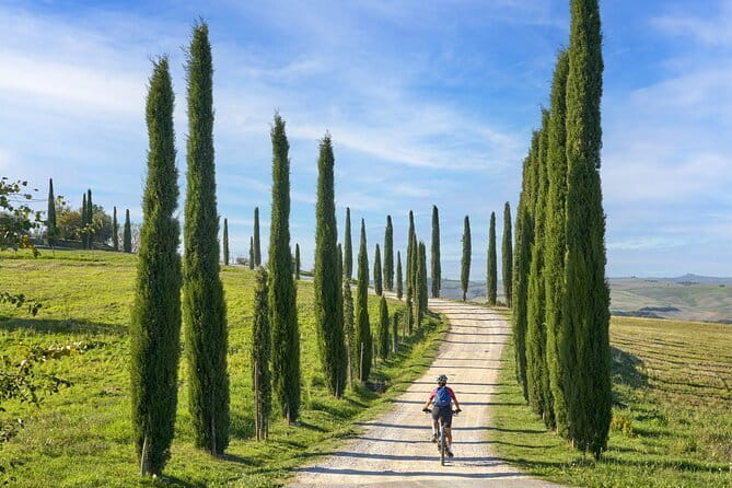 Pisa, Siena and San Gimignano Day Trip with Lunch & Wine Pairing - Choosing the right tour option