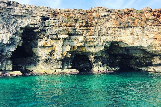 Polignano a Mare boat tour emotions, caves, diving and appetizers - The swimming stop: the most active part
