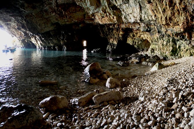 Polignano a Mare boat tour emotions, caves, diving and appetizers - Guides, commentary, and the mood on board