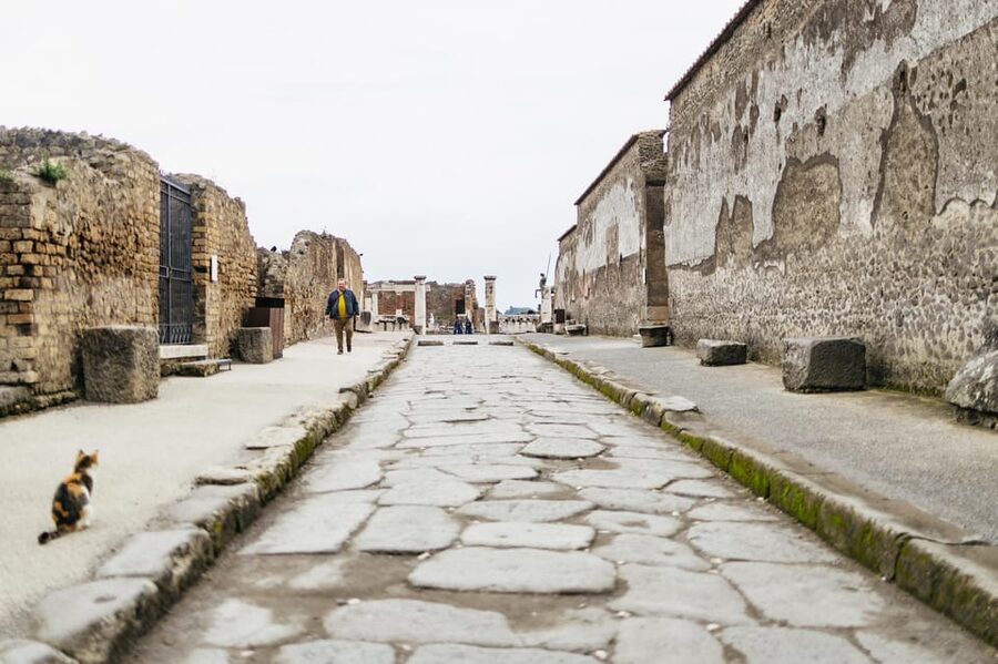 Pompeii: Afternoon to Sunset Guided Tour with Ticket - What the guide adds to the price