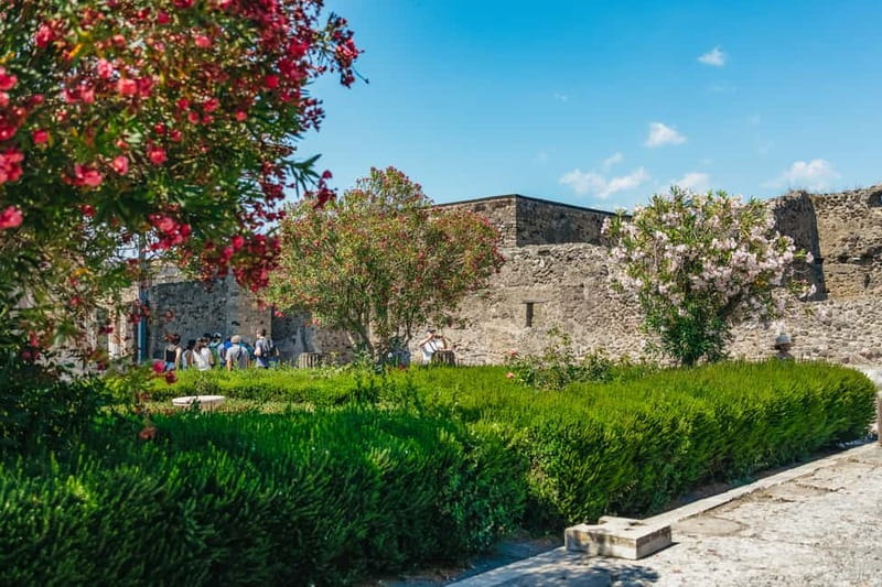 Pompeii: Archaeological Park Tour with Ticket on request - Getting the entry ticket right