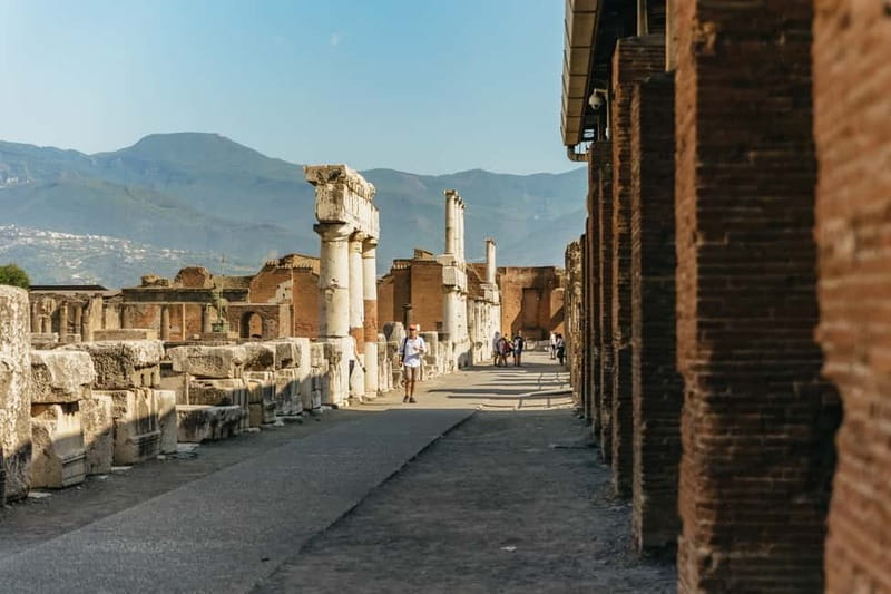 Pompeii: Archaeological Park Tour with Ticket on request - Walking ancient streets and Roman homes