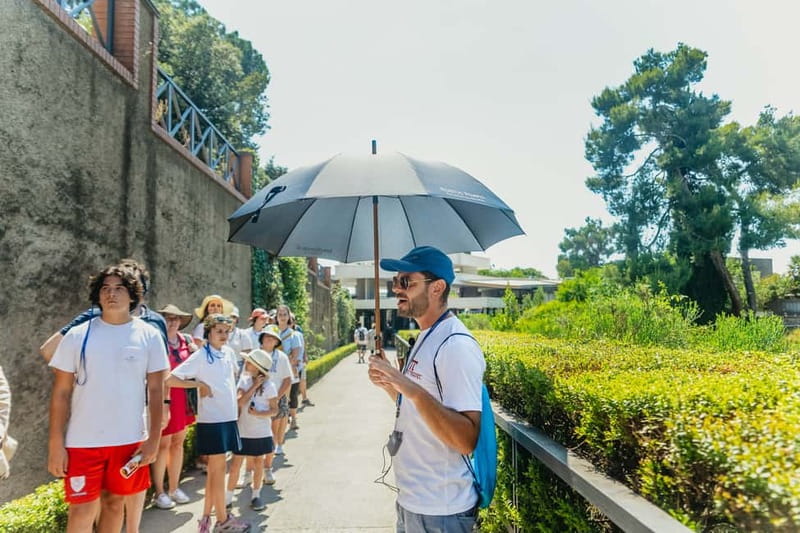Pompeii: Archaeological Park Tour with Ticket on request - What the $31.89 price gives you