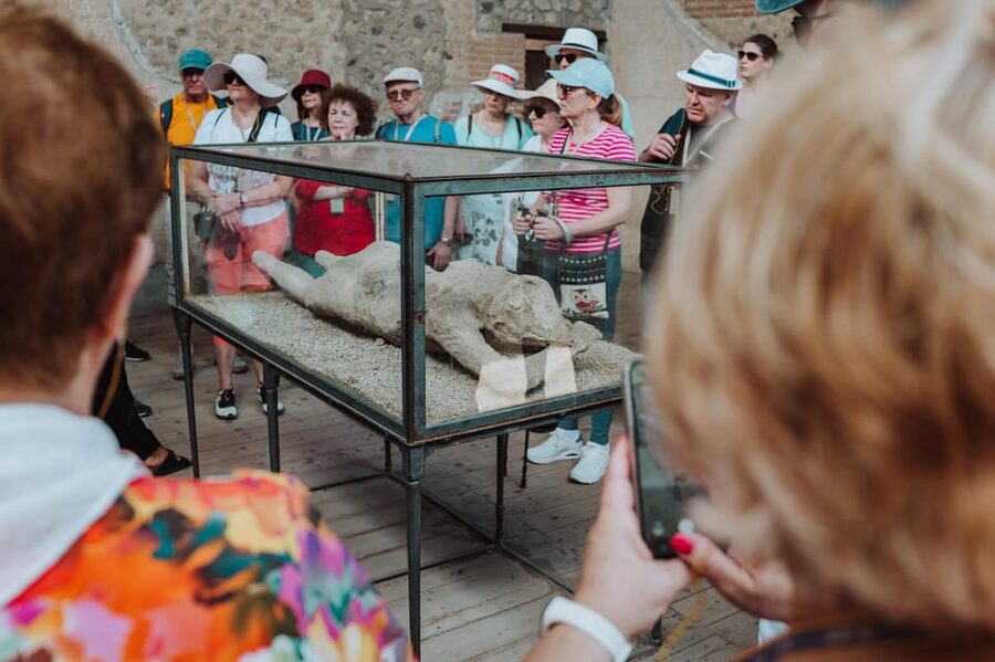 Pompeii: Entry Ticket and Guided Tour with an Archaeologist - The House of the Faun and Pompeii’s wealthy residents