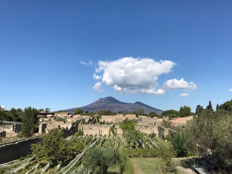 Pompeii: Exclusive Tour with Archaeologist and Entry Tickets - Key points to know before booking