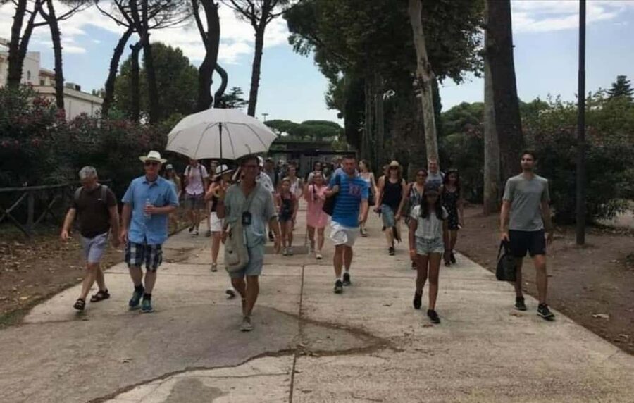 Pompeii: Group Tour with an Archeologist Guide - Is $50.11 a fair price?