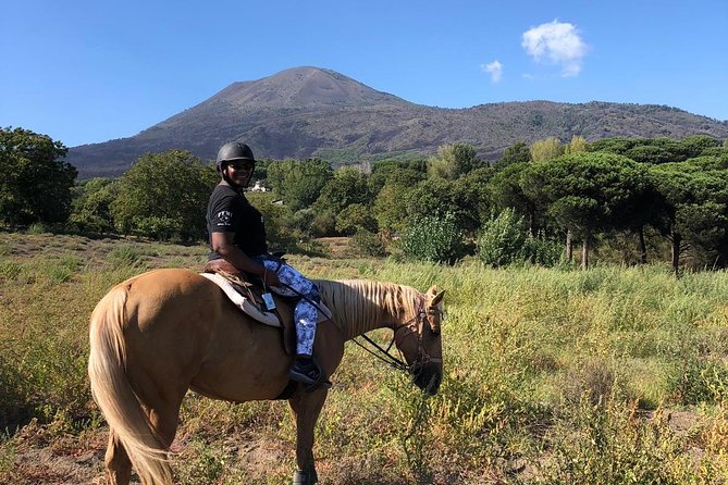 Pompeii Guided Tour & Horse Riding on Vesuvius with Lunch - Starting at Pompeii Porta Marina
