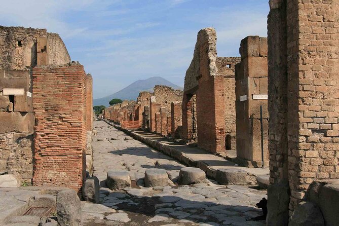Pompeii & Herculaneum Day Trip from Naples with Lunch - The Naples Pickup and Ride to Pompeii