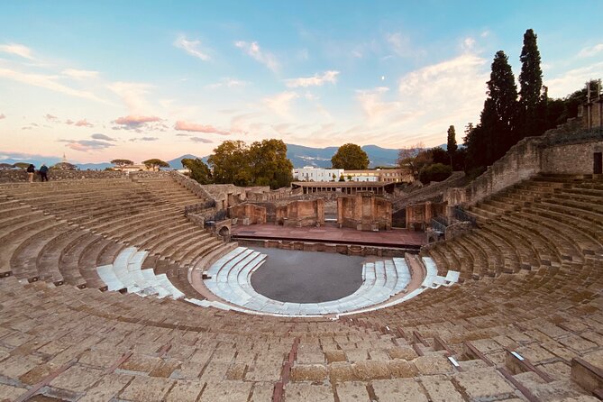 Pompeii Private Tour with an Archaeologist and Skip The Line - 3 hours - The Cave Canem mosaic and a house of status